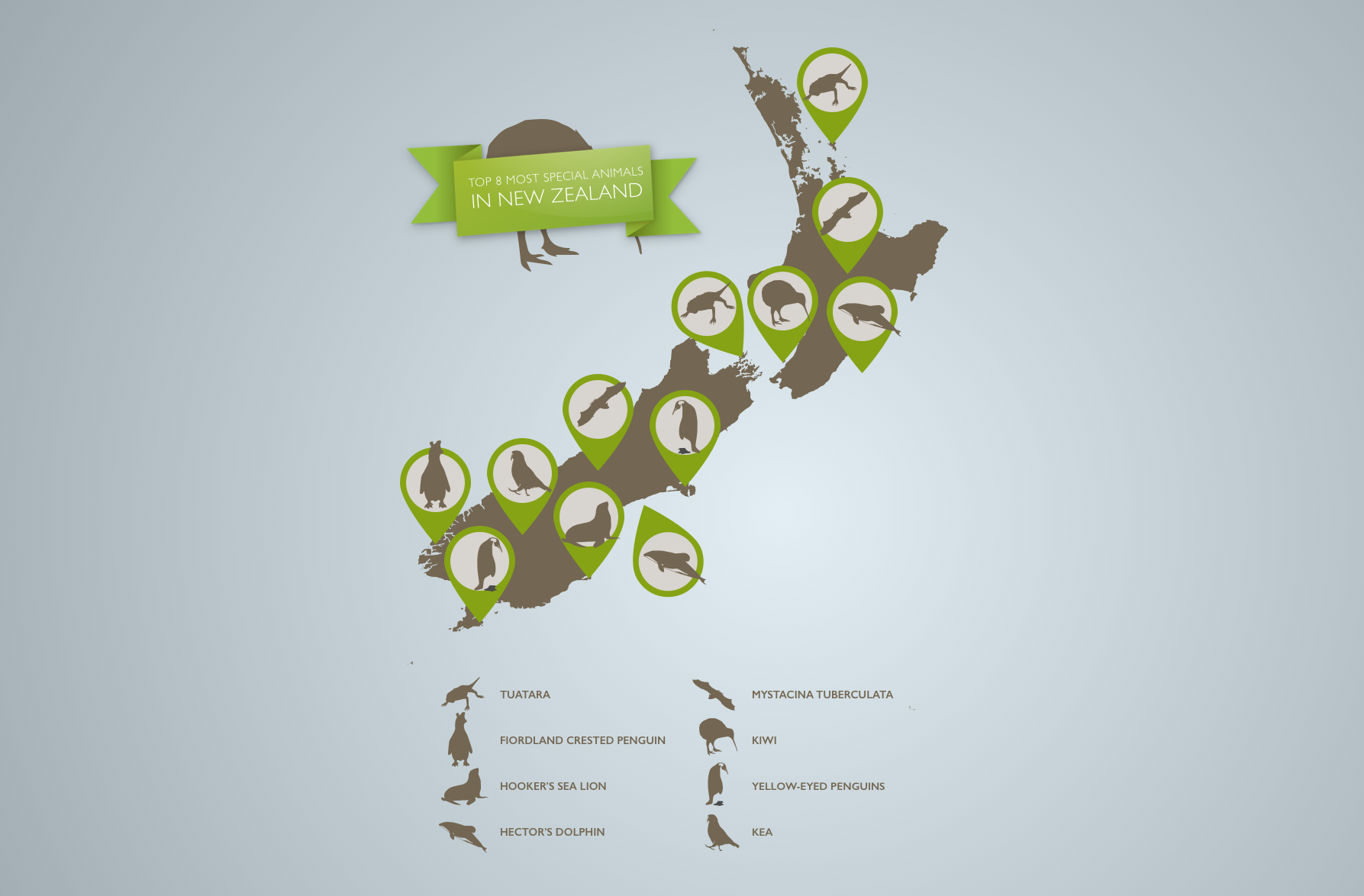 TE INFOGRAPHIC NZ GOLF Copy