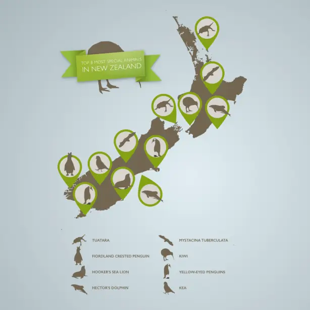 TE INFOGRAPHIC NZ GOLF Copy