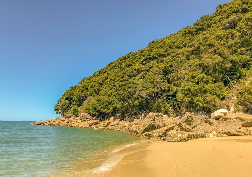 Bark Bay nz 1