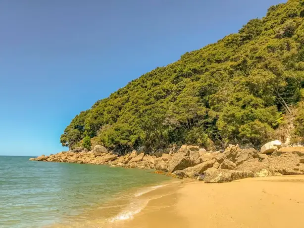 Bark Bay nz 1
