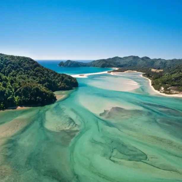 Landschaftsansicht des Abel Tasman Nationalparks in Neuseeland, wo sich blaues Meer, gelbe Küsten und grüne Wälder treffen.