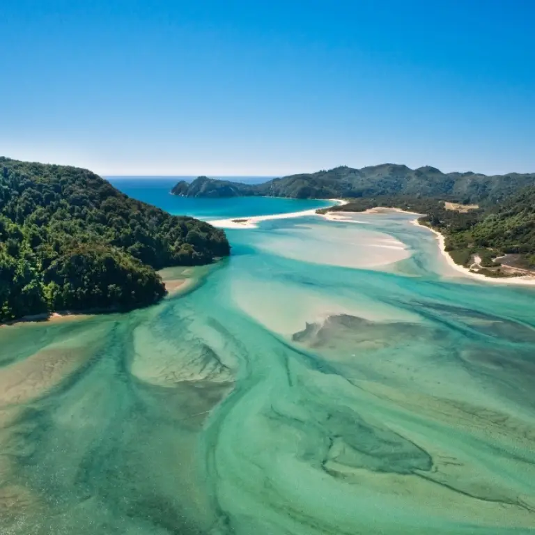 Landschaftsansicht des Abel Tasman Nationalparks in Neuseeland, wo sich blaues Meer, gelbe Küsten und grüne Wälder treffen.