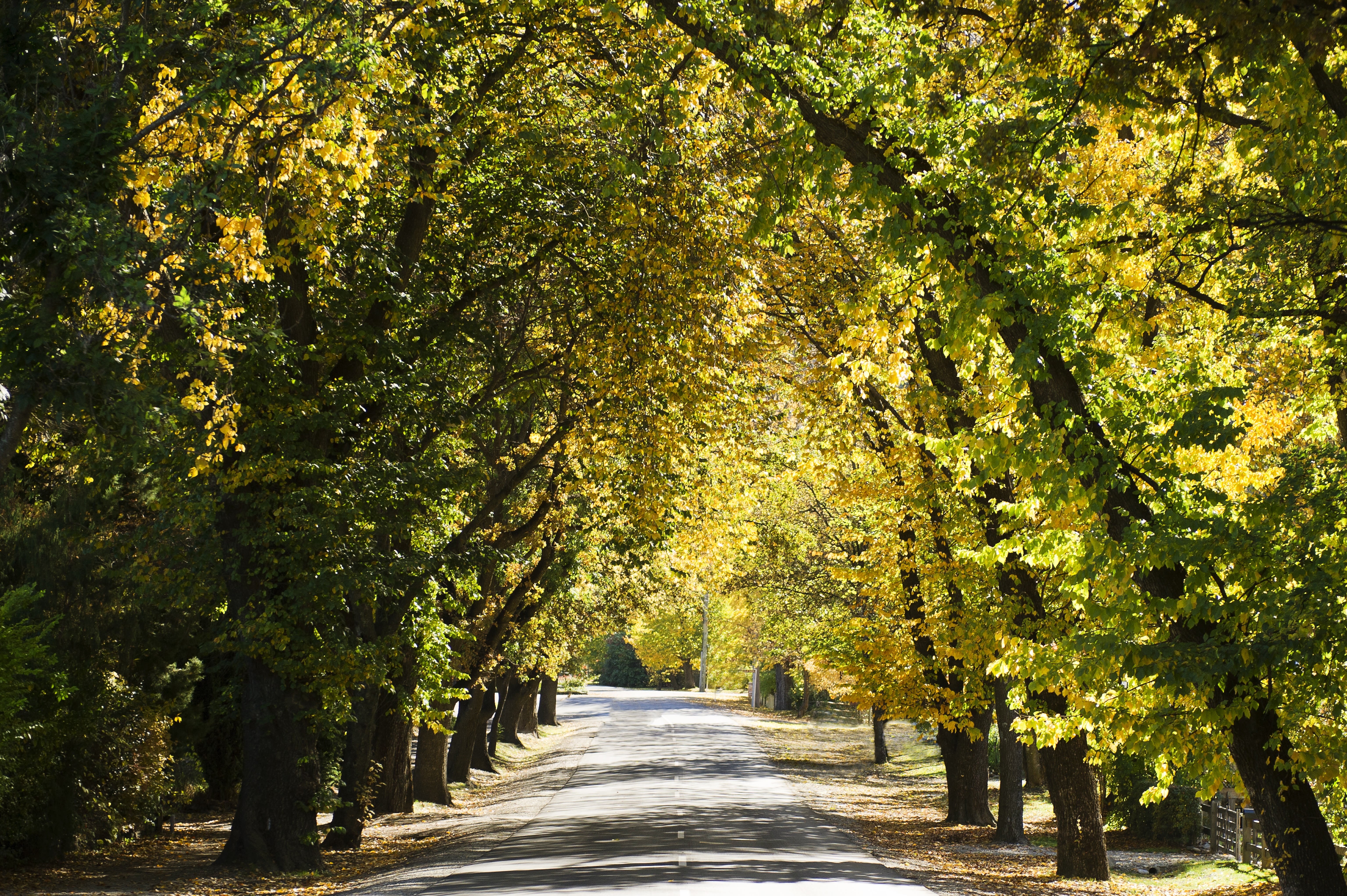 Nz campervan blog arrowtown