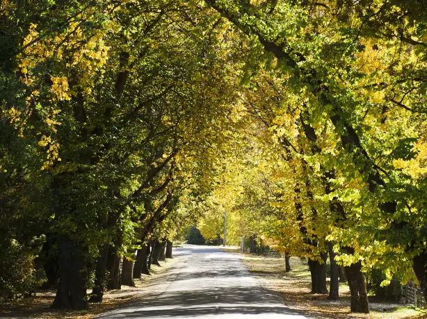 Nz campervan blog arrowtown