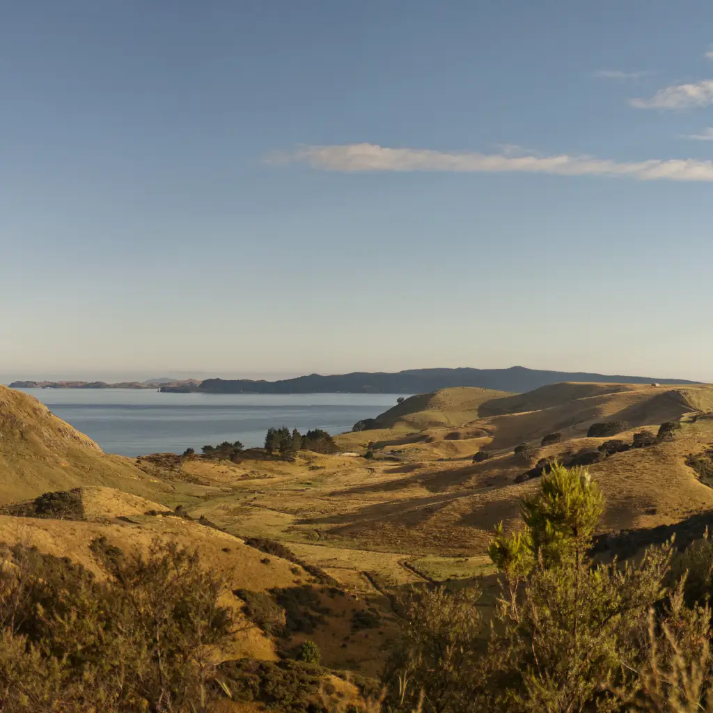 Nz campervan blog opito panorama3