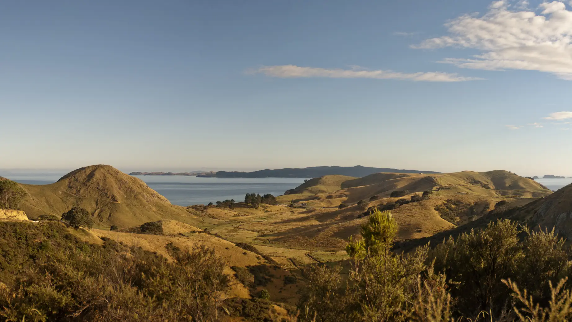 Nz campervan blog opito panorama3