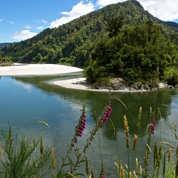 Nz lewis pass lake nature family under5 medium car