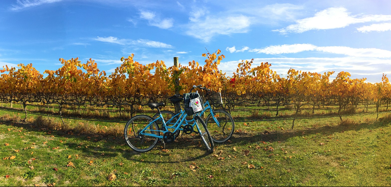 Een paar blauwe fietsen rustend tegen een houten paal bij een wijngaard in Hawke's Bay, Nieuw-Zeeland tijdens de herfst