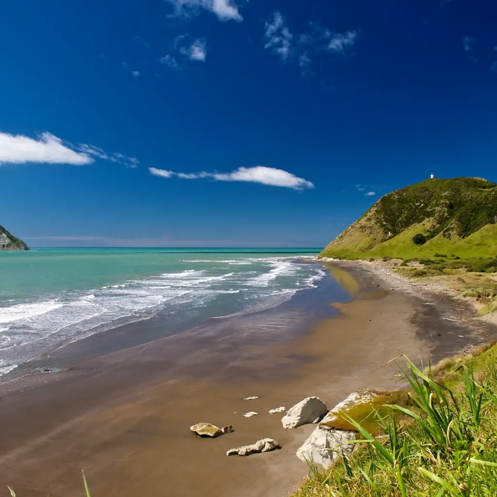 scenic drives with views of the beach meeting the heels, eastern cape, nz