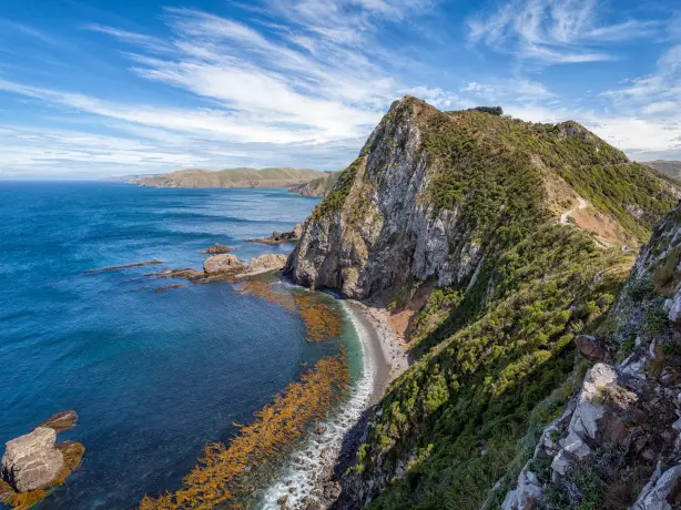 Küstenbild der südlichen Panoramastraße, das Meer trifft auf den Berg in Neuseeland