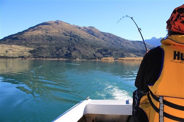 nz wild earth lodge accommodation makarora