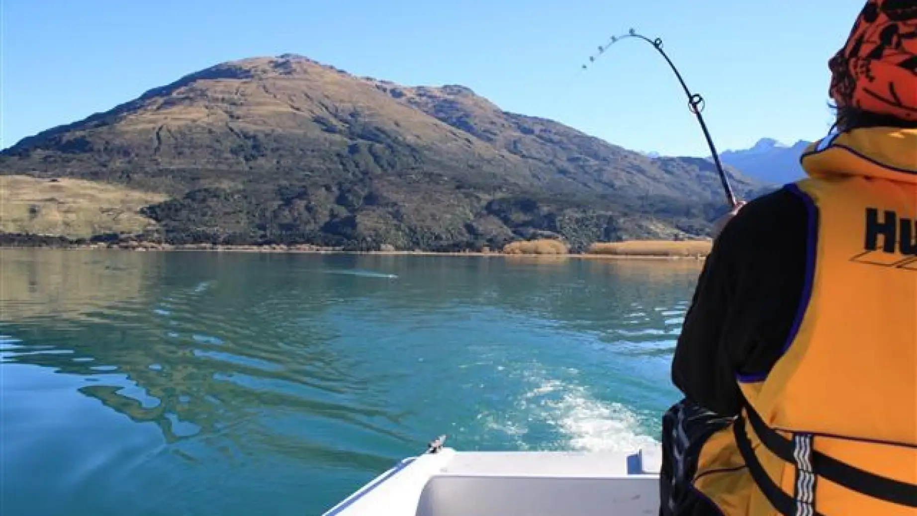 nz wild earth lodge accommodation makarora