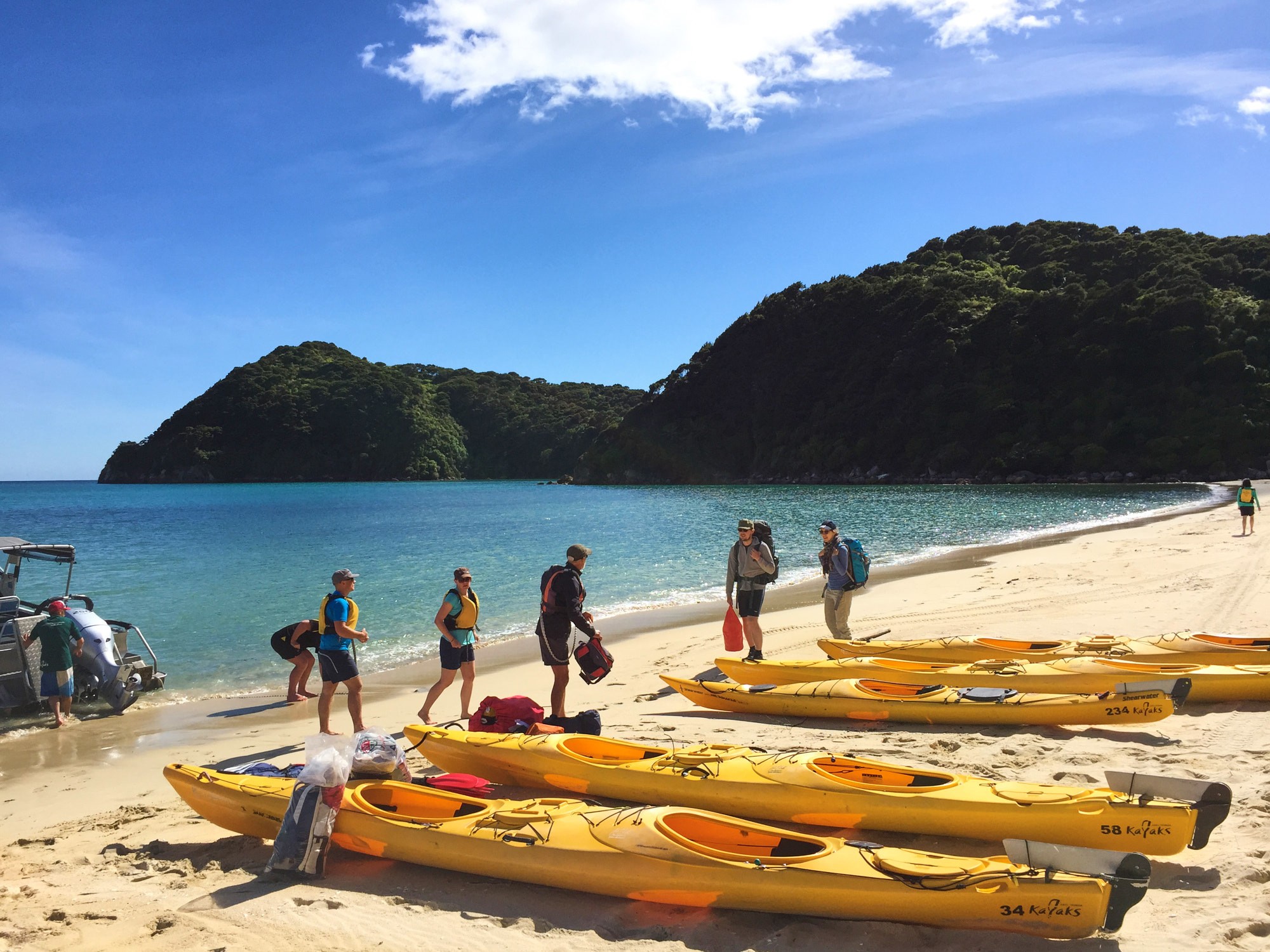 Neuseeland Abel Tasman Nationalpark Kajaktour