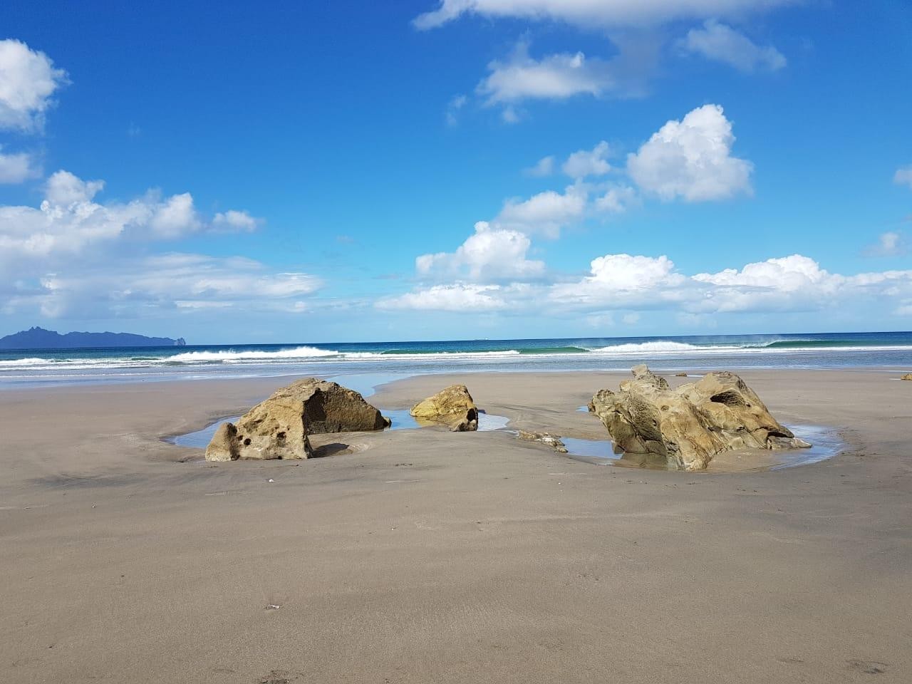 Ecklebe NZ 2018 04 09 PHOTO 00000006