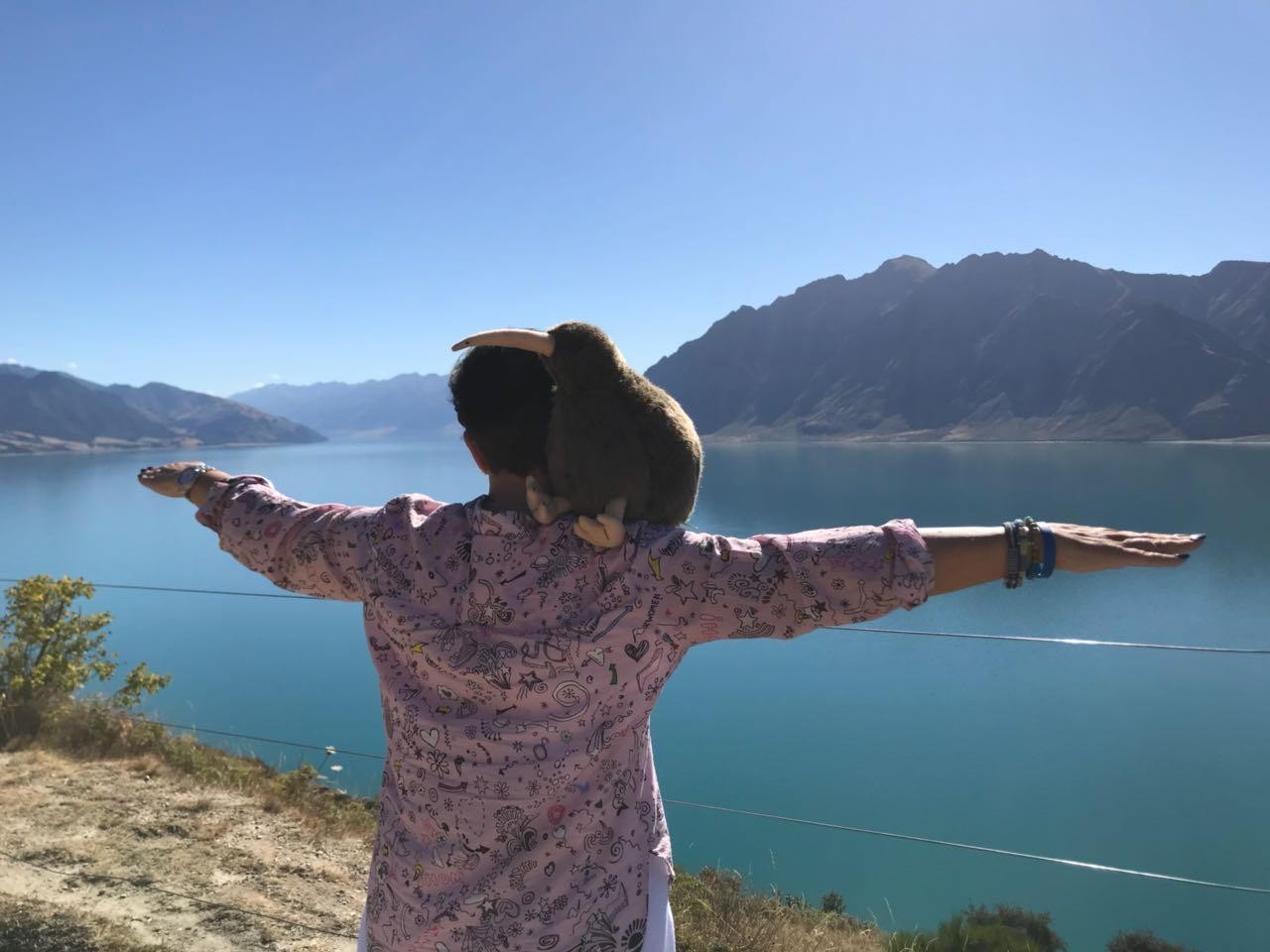 Ecklebe NZ 2018 04 09 PHOTO 00000012