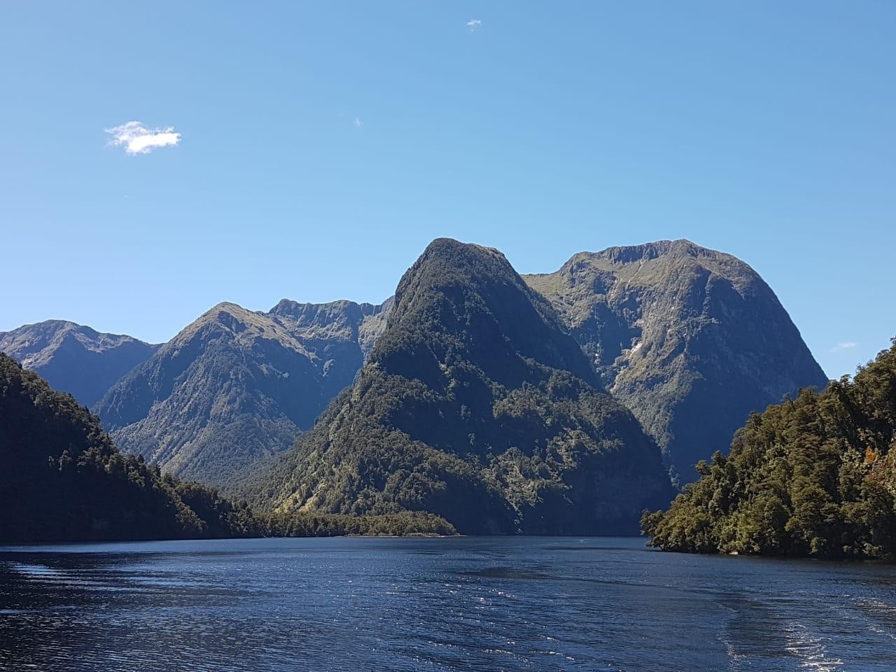 Ecklebe NZ 2018 04 09 PHOTO 00000013