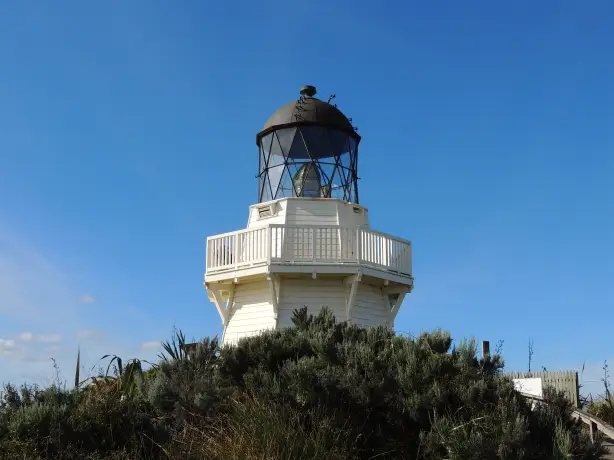 Nz auckland south