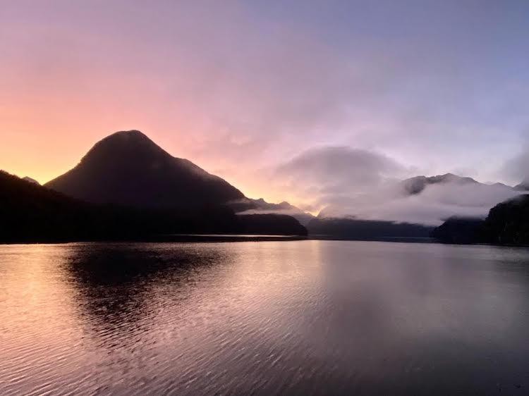 Neuseeland reiseerfahrung hoppmann doubtful sound cruise