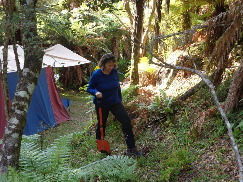 Te Urewera Treks Horst wandern im regenwald urwald baum pflanzen