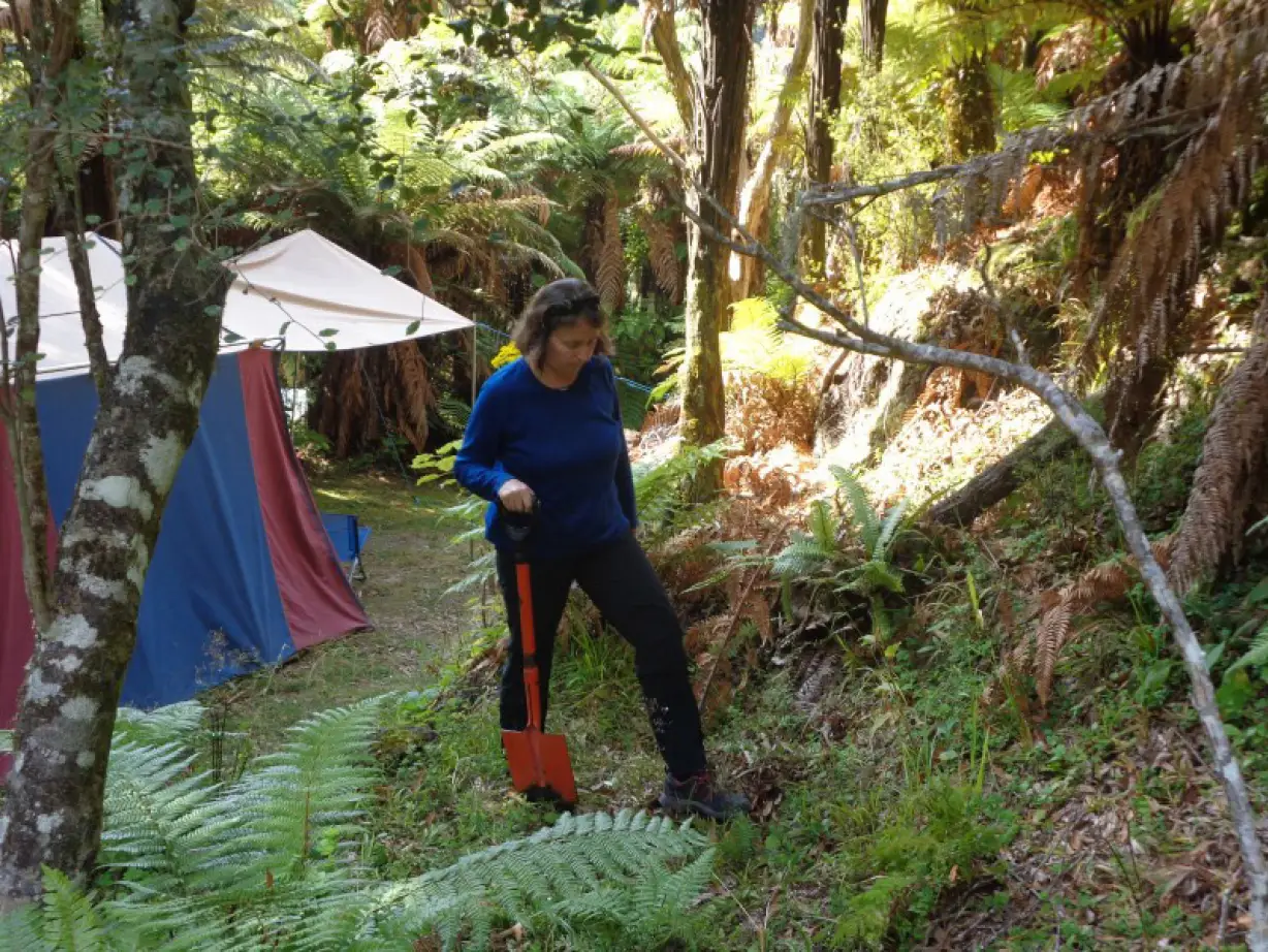 Te Urewera Treks Horst wandern im regenwald urwald baum pflanzen