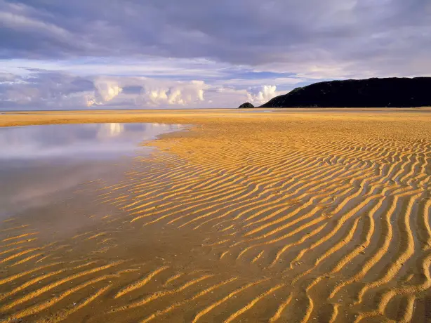 nz-abel-tasman-national-park-sand-discoverpage-detailed-regions