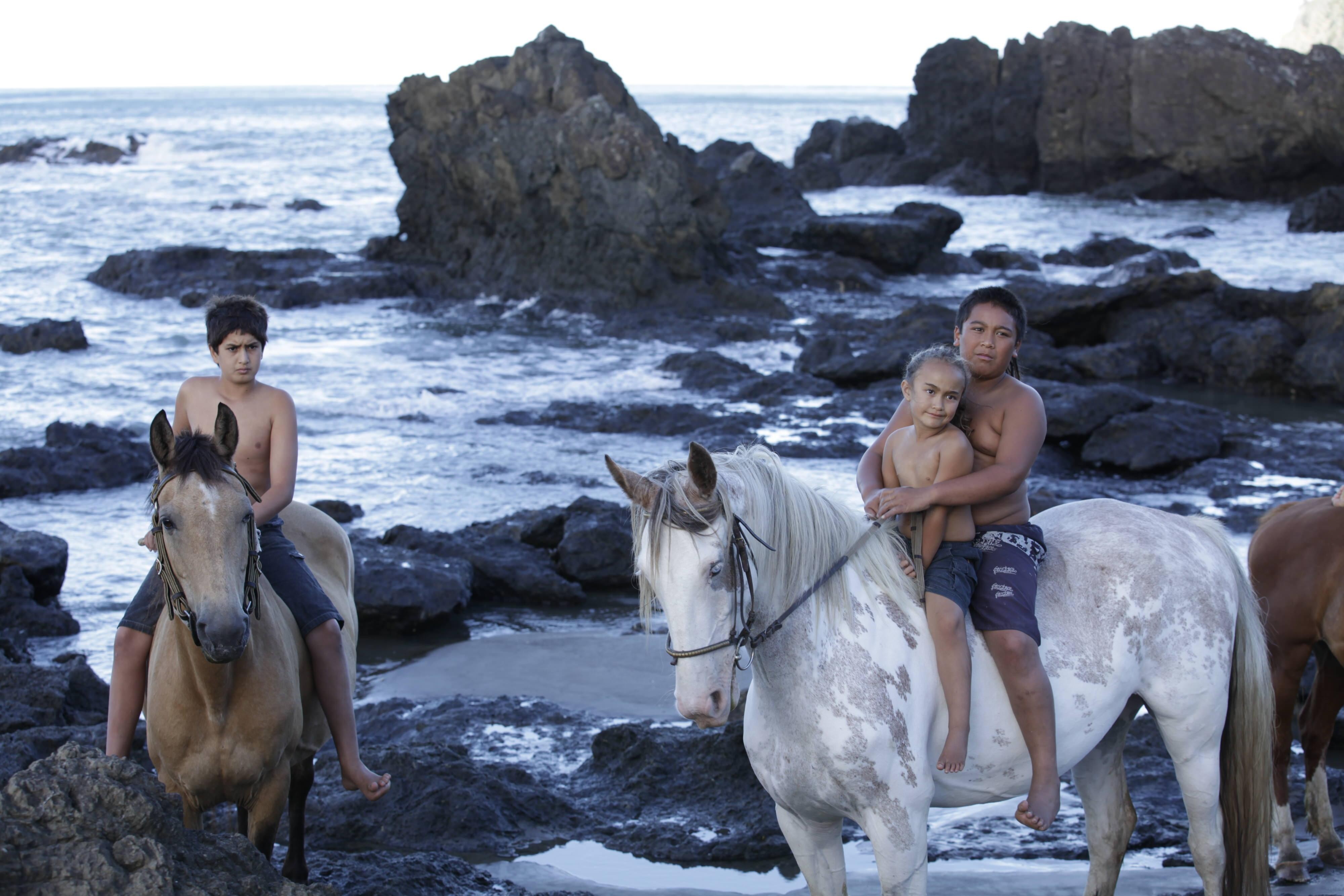 Drei Māori-Kinder auf einem weißen und einem braunen Pferd bei Felsen am Meer