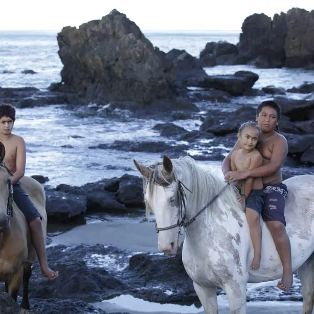 Drei Māori-Kinder auf einem weißen und einem braunen Pferd bei Felsen am Meer