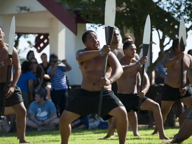 Maori-Männer tanzen einen Haka mit Holzpaddeln