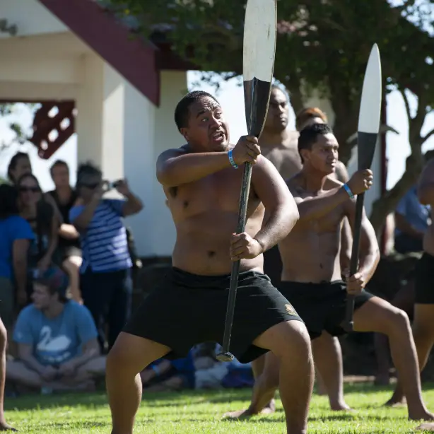 Maori-Männer tanzen einen Haka mit Holzpaddeln