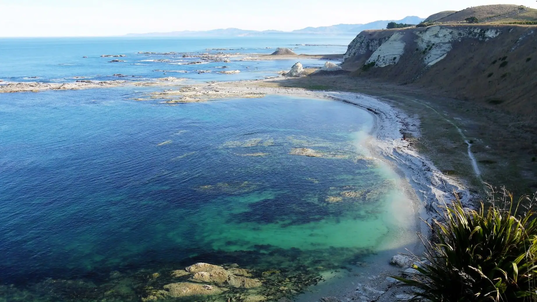 Neuseeland Catlins Küstenlinie
