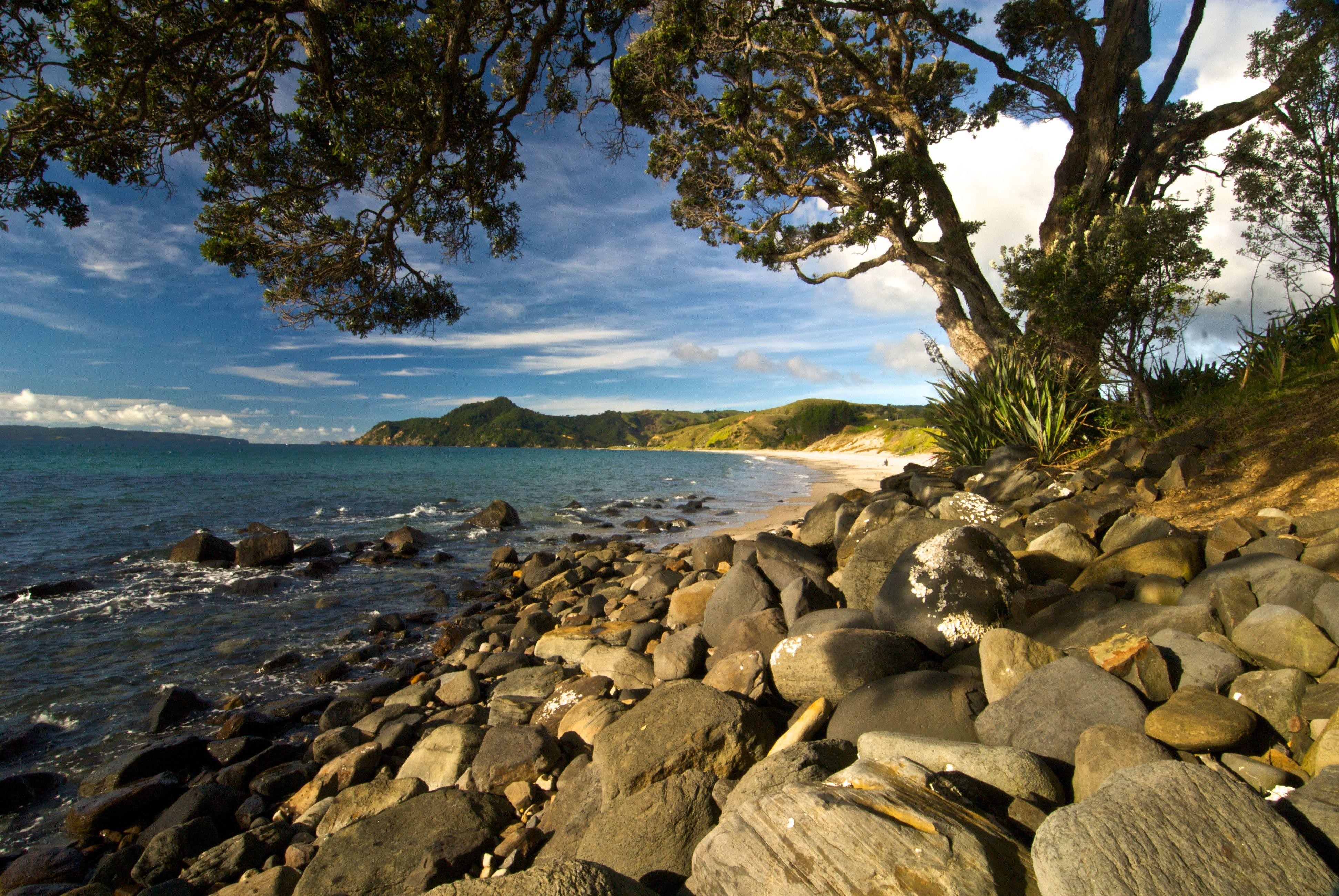best beach spots and nature views