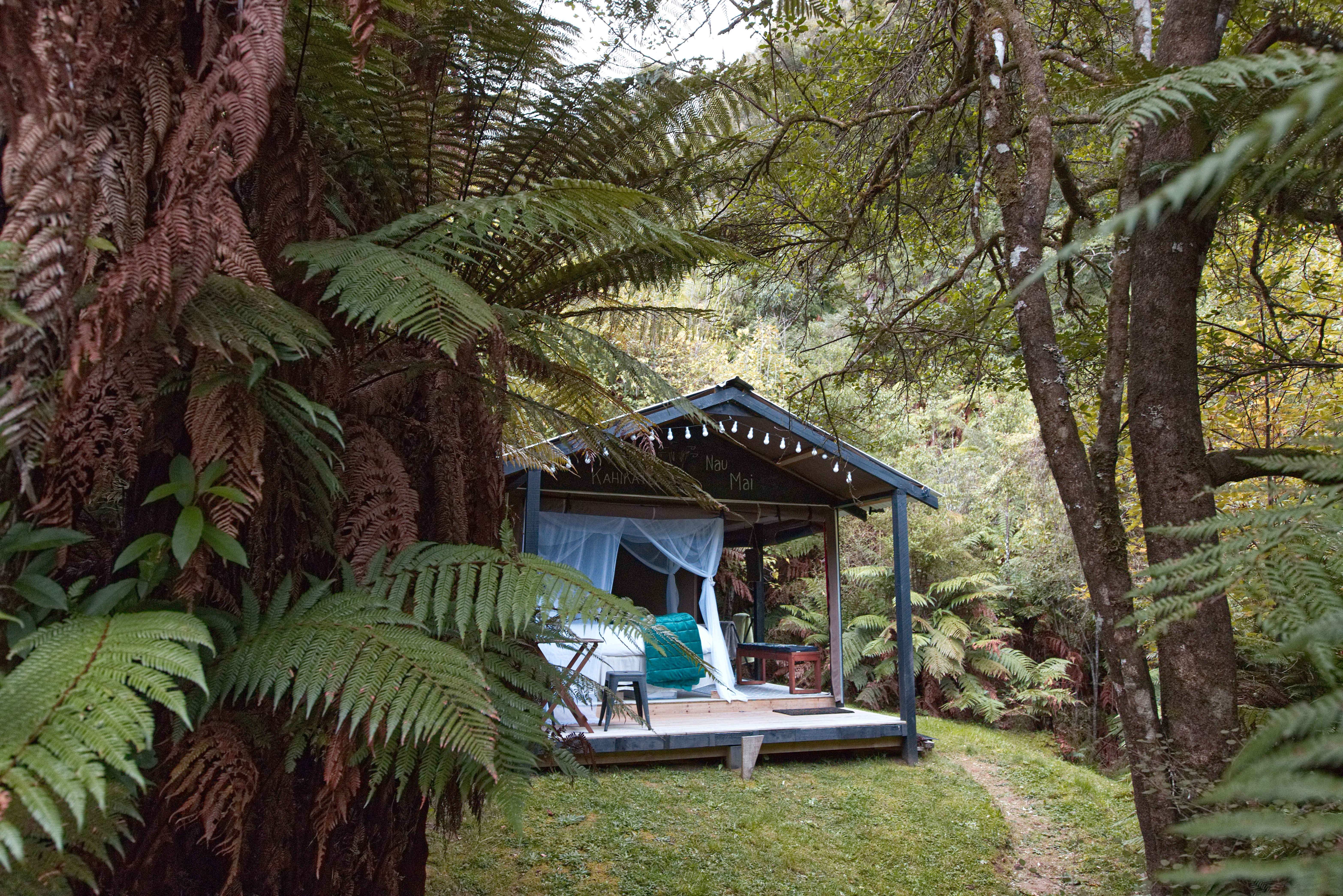 Glamping-Hütte umgeben von Farnwald