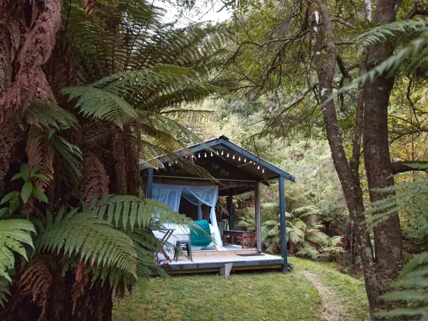 Glamping-Hütte umgeben von Farnwald