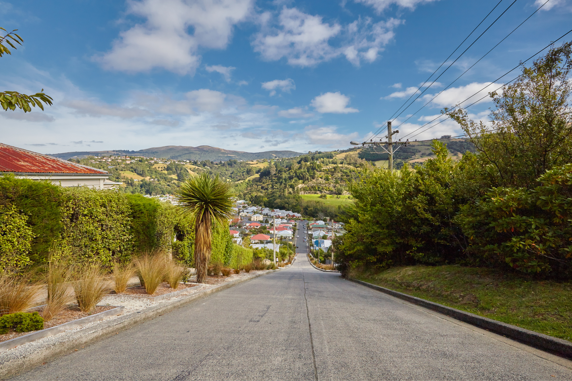newzealand-south-dunedin-baldwinstreet