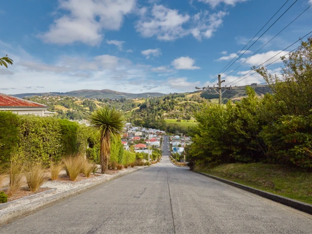 newzealand-south-dunedin-baldwinstreet