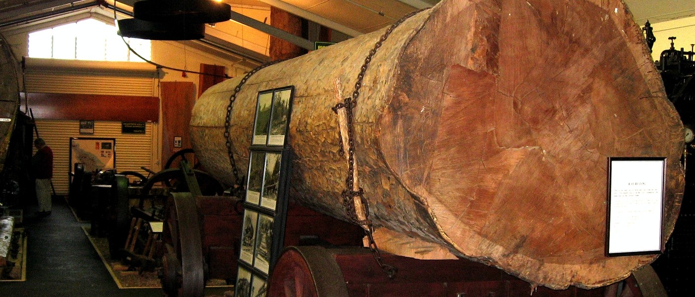 NZ kauri museum matakohe