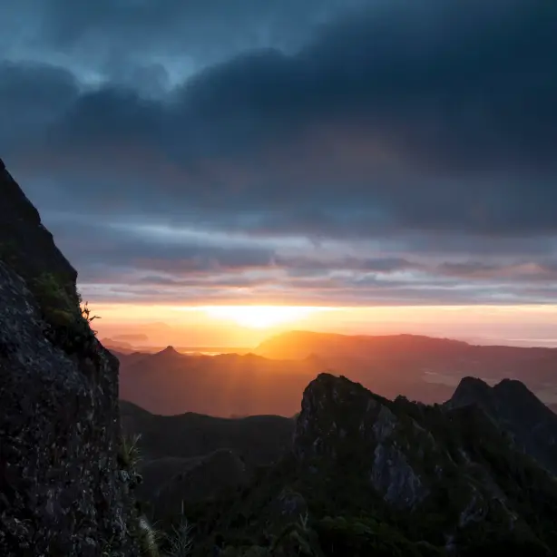 newzealand-north-coromandel-pinnaclestrack1