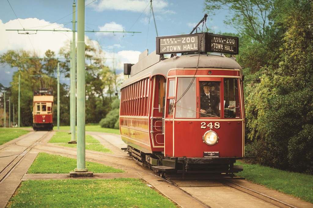 Nz motat museum