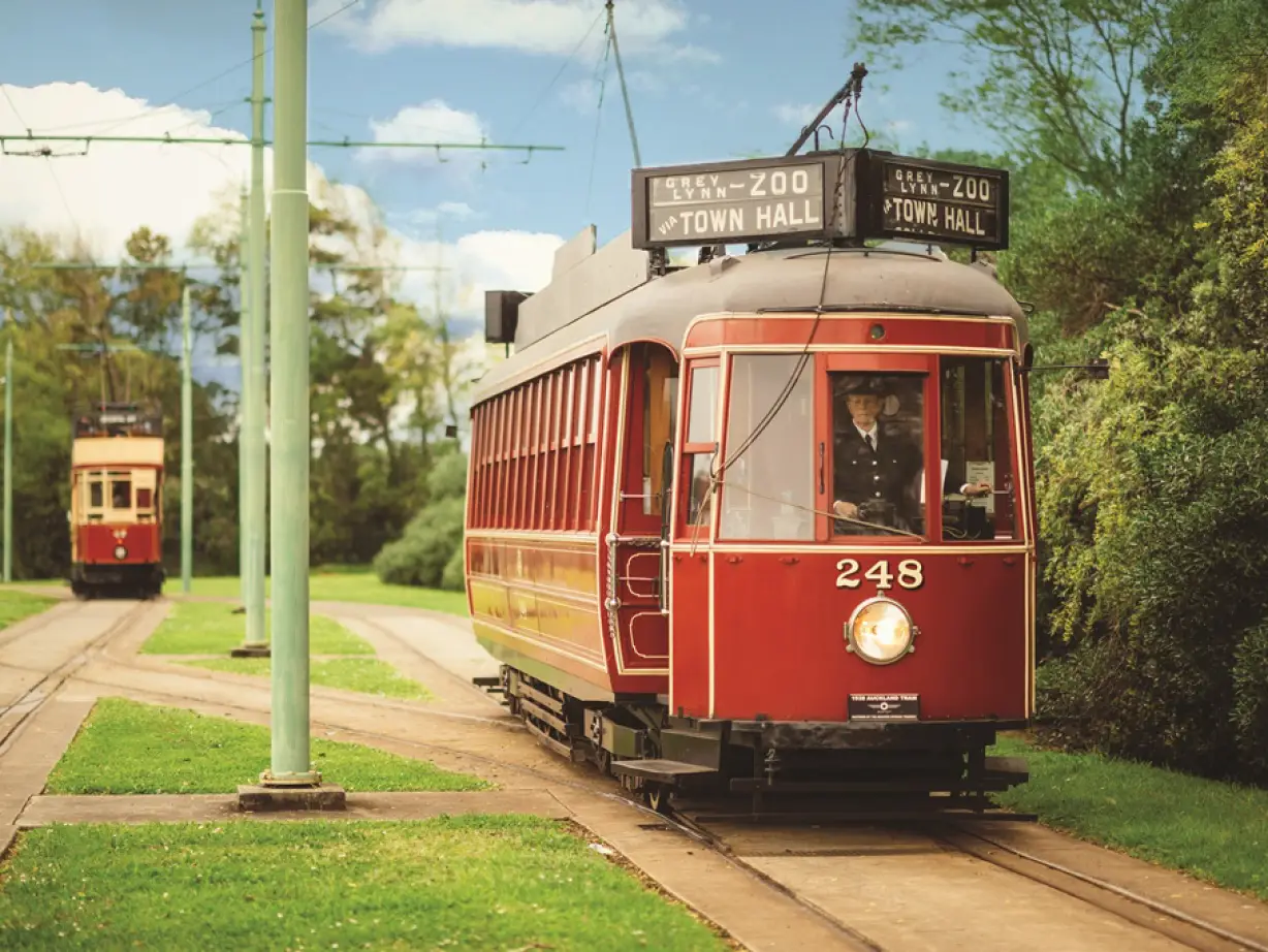 Nz motat museum