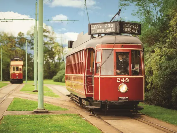 Nz motat museum