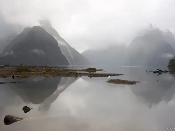 Nz Milford Sound Fiordland