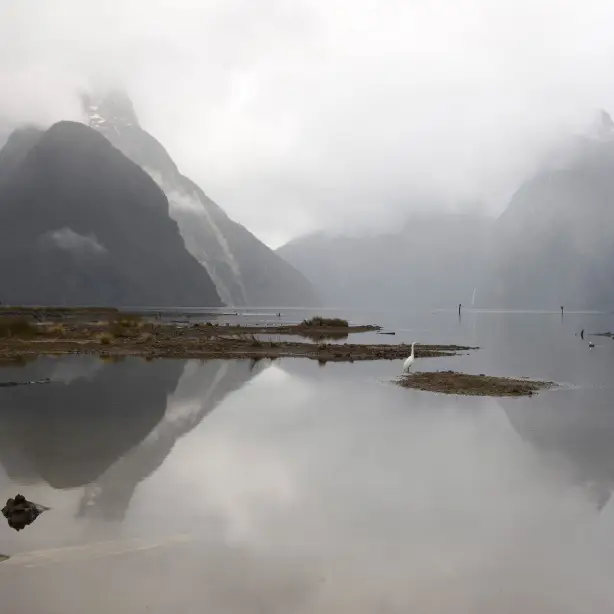 Nz Milford Sound Fiordland