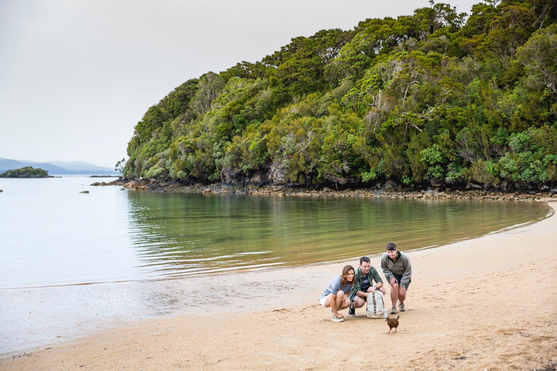 Nz Ulva Island Stewart Island