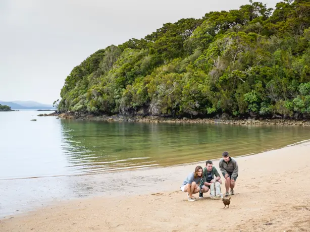 Nz Ulva Island Stewart Island