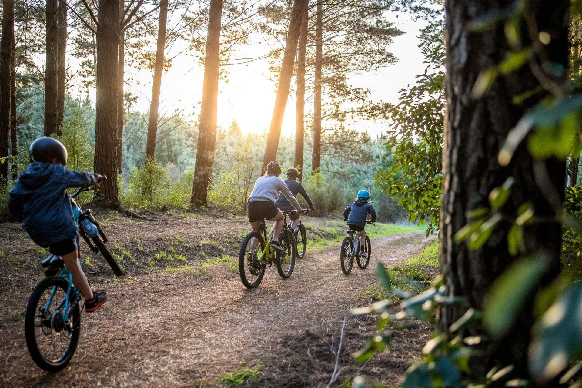Nz north Craters Bike Park Miles Holden