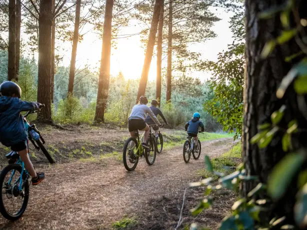 Nz north Craters Bike Park Miles Holden