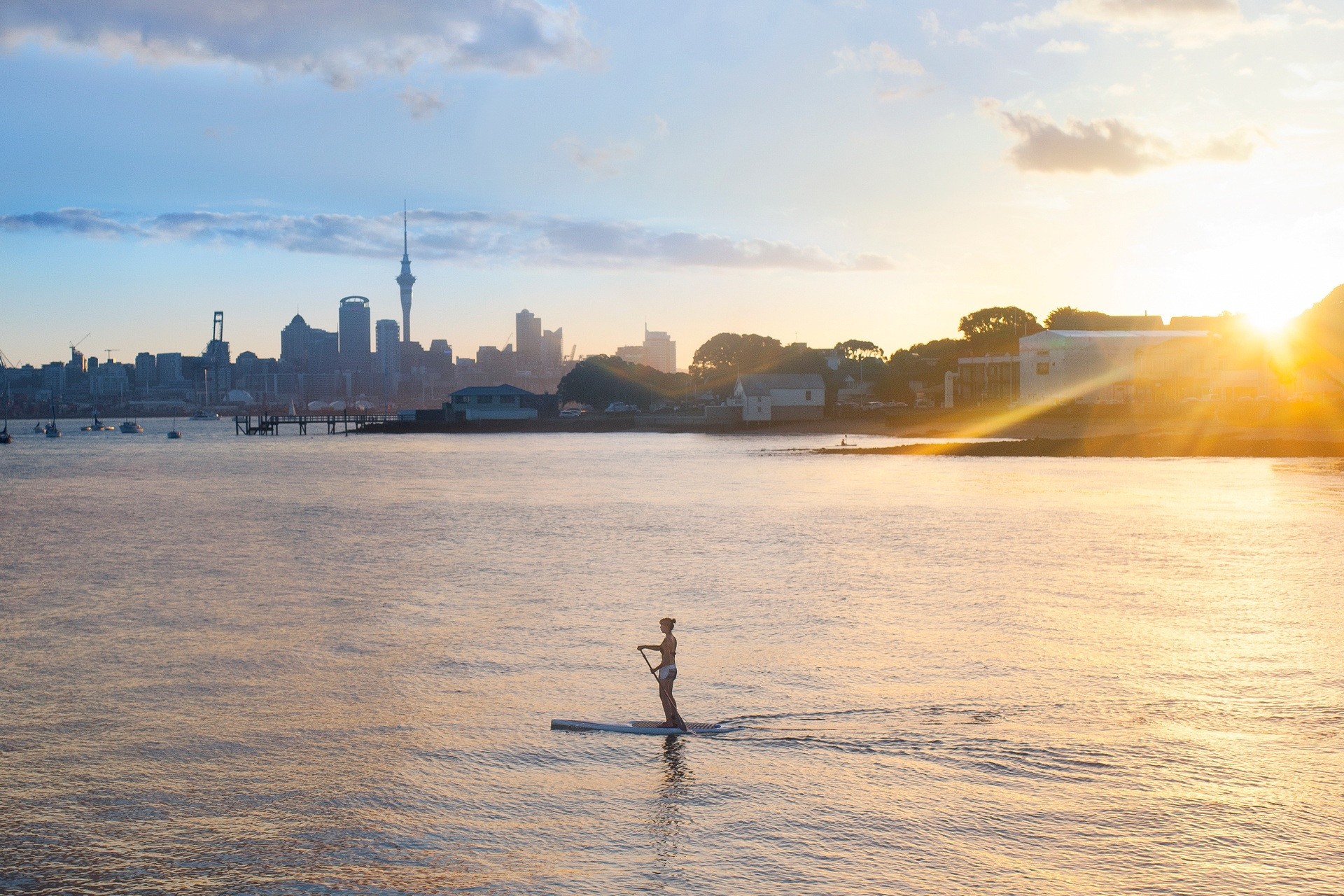 Nz north Auckland City Auckland Matt Crawford