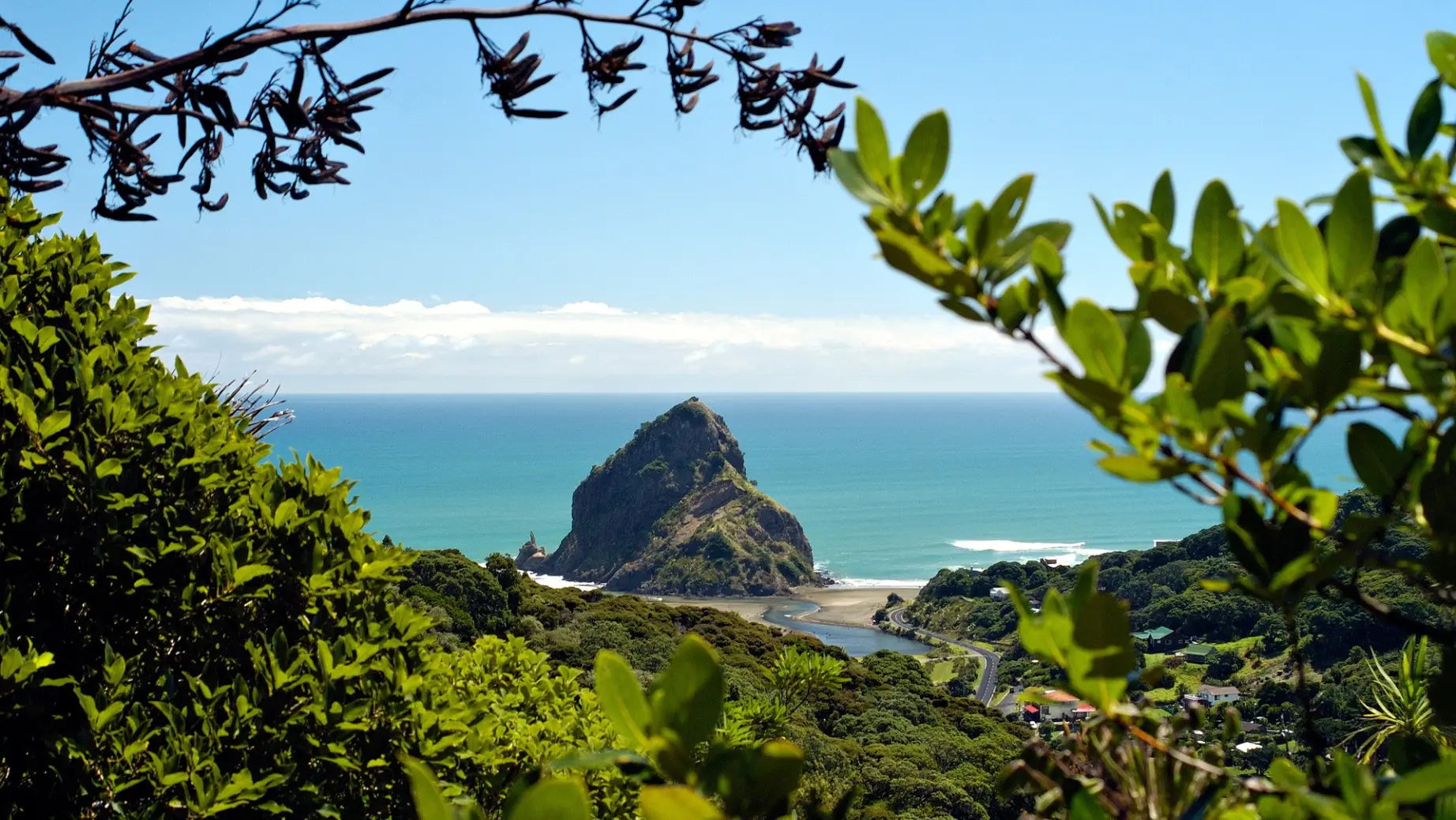 nz north Piha Beach Auckland