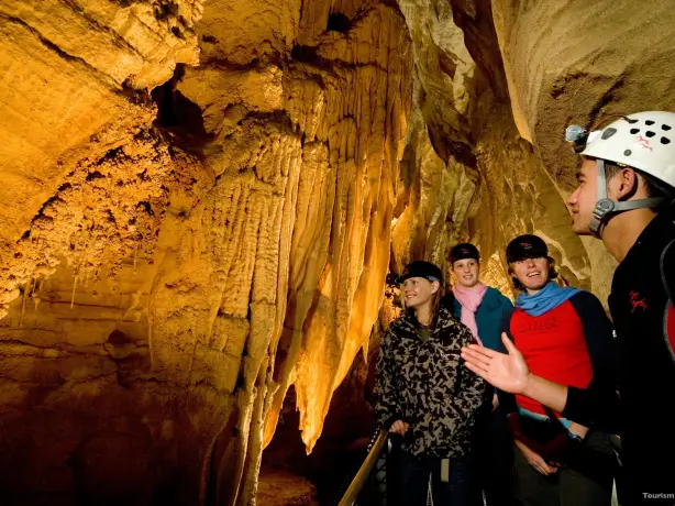 Nz north Waitomo Caves Waitomo