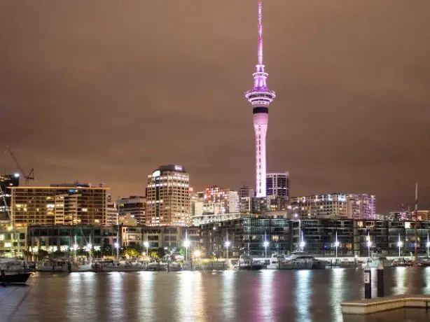 Nz north auckland city centre night view